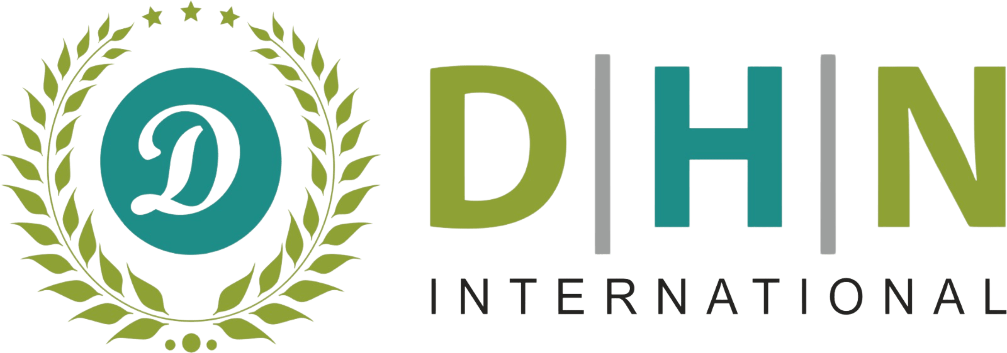 Dhn International logo
